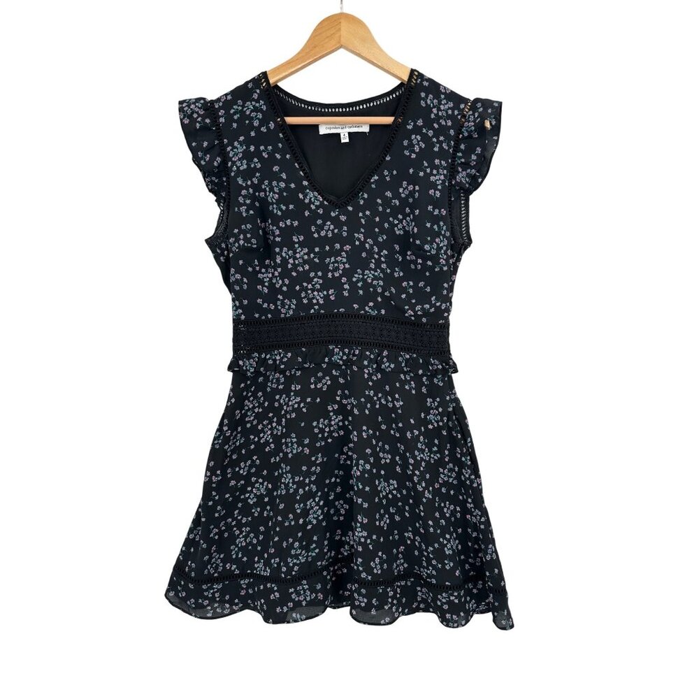 Cupcakes and Cashmere Dress Women Size 4 Whimsigoth Fairy Dark Romantic Coquette